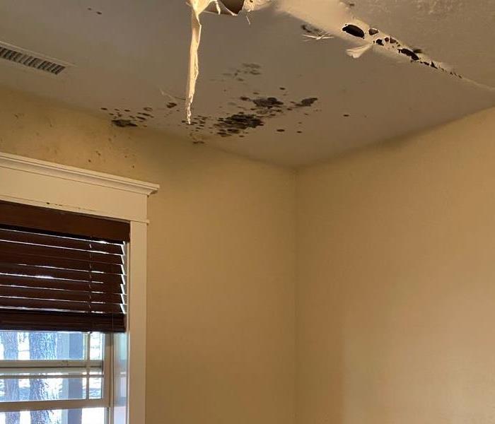 A moldy ceiling that is caving in due to water damage. The home is in Flagstaff, Arizona